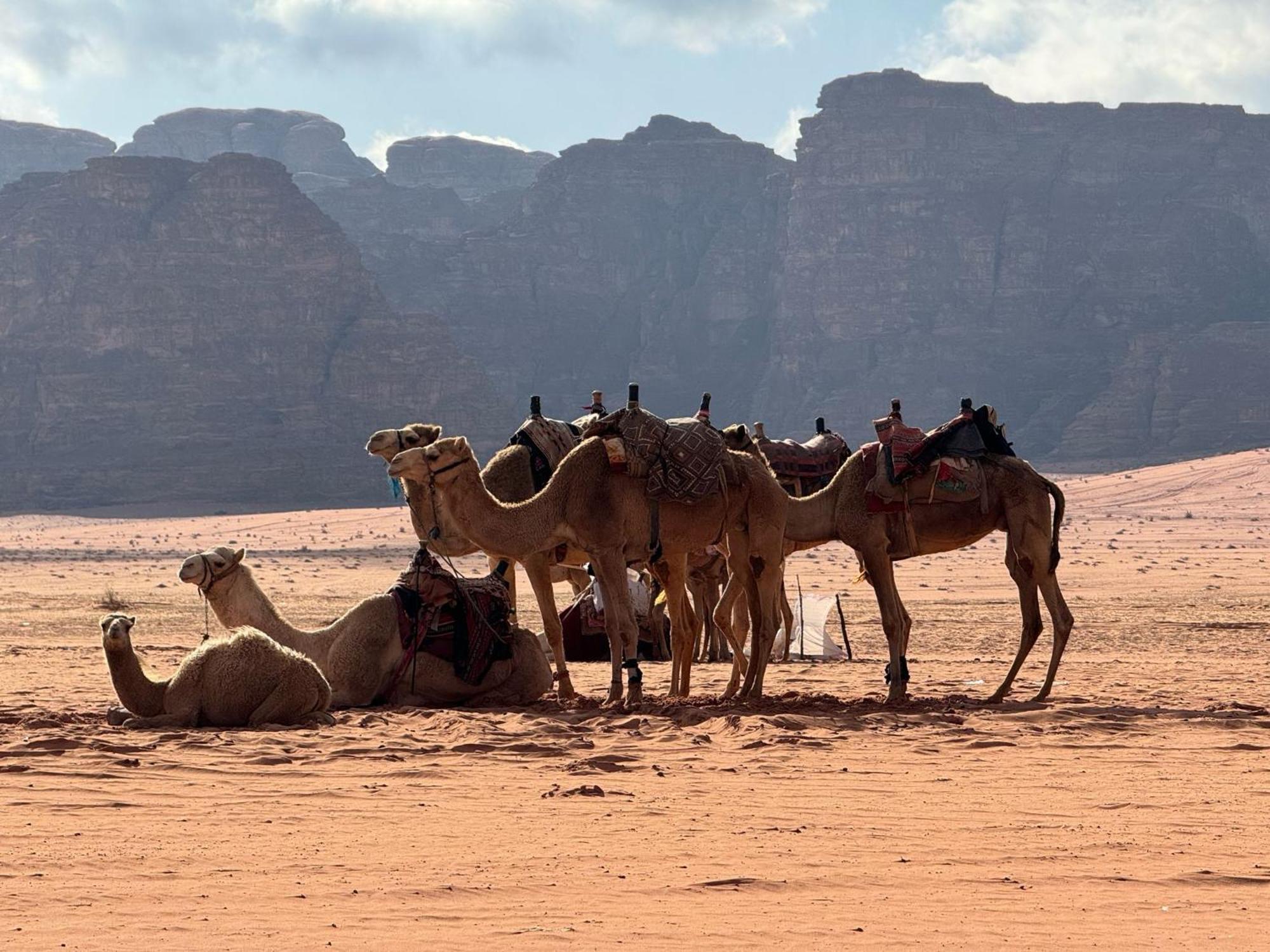 Hotel Sunrise Luxury Camp Wadi Rum Exterior foto